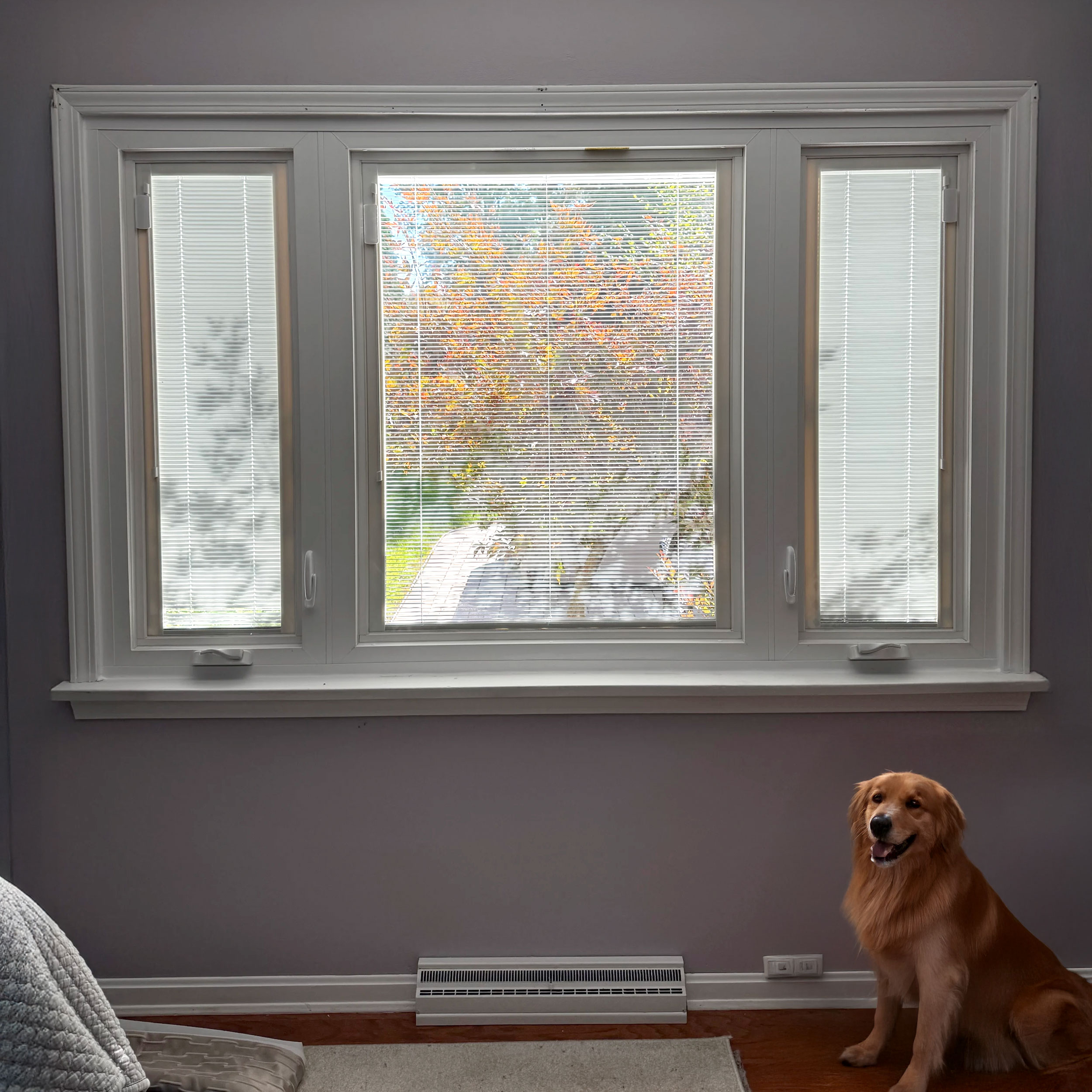 Windows With Blinds Inside: The Window Upgrade Boston Homeowners Love.